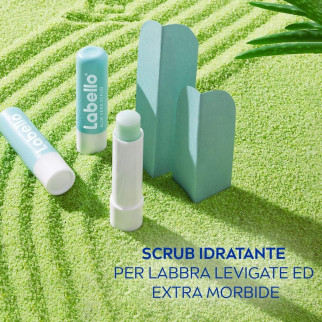 Labello Idratante Aloe Vera Confezione da 1 pezzo
