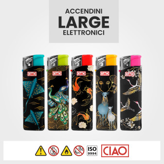 Ciao Glimmer Serie da 5 Accendini Elettronici Ricaricabili