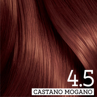 Franck Provost Tinta Capelli Riutilizzabile 4.5 Castano Mogano