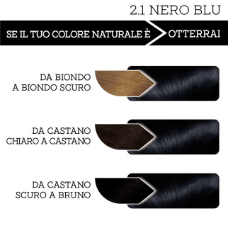 Franck Provost Tinta Capelli Riutilizzabile Colore 2.1 Nero Blu