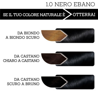 Franck Provost Tinta Capelli Riutilizzabile Colore 1.0 Nero Ebano
