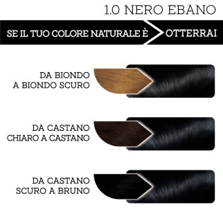 Franck Provost Tinta Capelli Riutilizzabile Colore 1.0 Nero Ebano