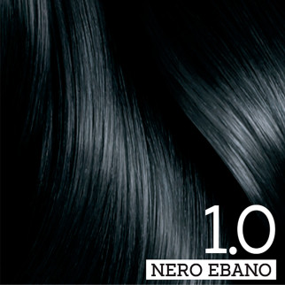 Franck Provost Tinta Capelli Riutilizzabile Colore 1.0 Nero Ebano