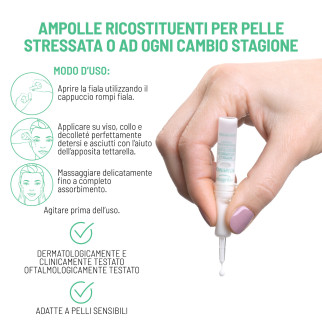 Equilibra Vitaminica ACE Ampolle Vitaminiche Ricostituenti per il Viso