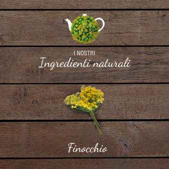 Sognid'oro Tisana Finocchio - Confezione da 20 Filtri Star