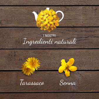 Sognid'oro Tisana Regolarità - Confezione da 20 filtri Star