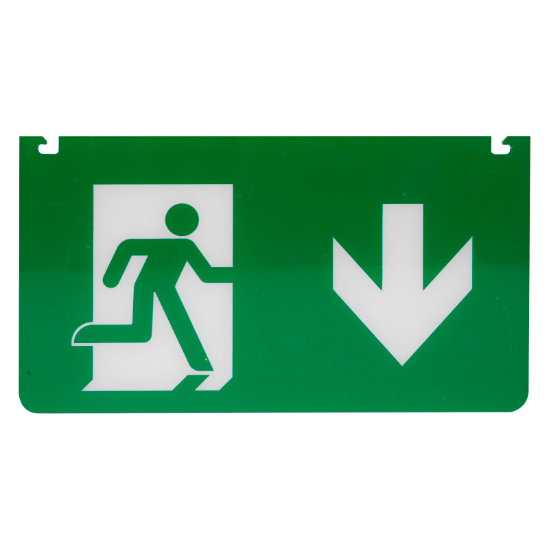 Life Segnaletica Uscita Emergenza Freccia in Giù mod. 39.LED0630SD