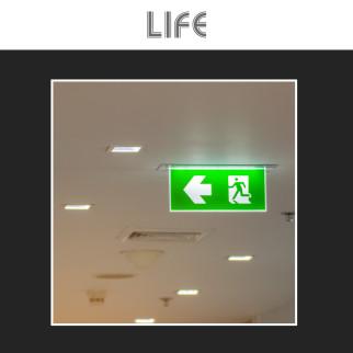 Life Segnaletica Uscita Emergenza Freccia in Giù mod. 39.LED0630SD