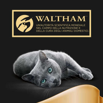 Sheba Classics Paté con Pollame Cibo per Gatti 22x 85g