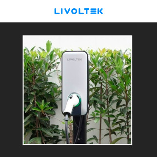 Wall box 22kW Trifase Smart IP54 IK10 con Cavo Tipo 2 Livoltek
