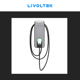 Wall box 22kW Trifase Smart IP54 IK10 con Cavo Tipo 2 Livoltek