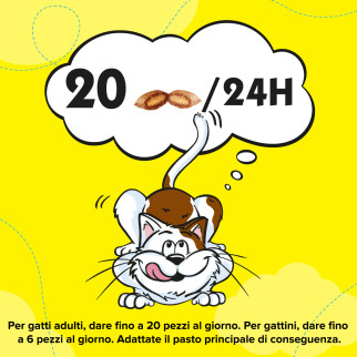Snack al Pollo per Gatti - Confezione 350g Catisfactions