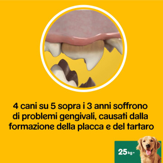 Dentastix Oral Care Large Pedigree per l'igiene orale del cane 21 Stick