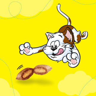 Snack al Manzo per Gatti - Confezione 60g Catisfactions