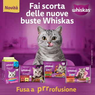 Whiskas Pure Delight Cibo per Gatti Bocconcini Salmone Tonno
