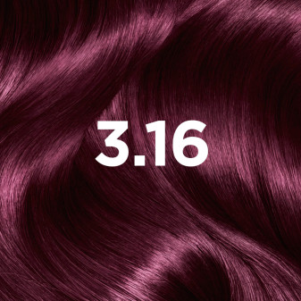 Garnier Color Sensation Colorazione Permanente 3.16 Viola Profondo