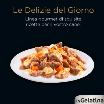 Cibo per Cani con Pollo e Manzo Cesar Selezione in Gelatina