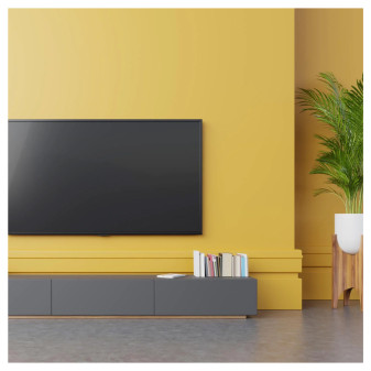 PULSANTE CON CORDA 10A - modello EV1101