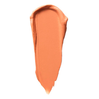 Maybelline New York Lifter Stix Stick Viso Multi-Uso Colore 45