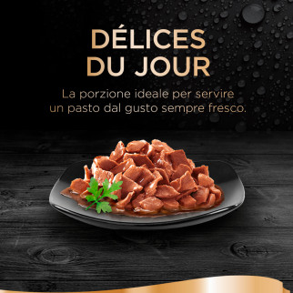 Sheba Delices Du Jour Cibo per Gatti al Pollo e Salmone 6x