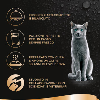 Sheba Delices Du Jour Cibo per Gatti al Pollo e Salmone 6x