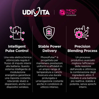 Udivita Batterie Protesi Acustiche Misura 312 Blister da 8