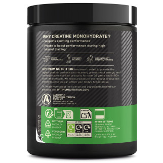 Creatina in Polvere gusto Lampone Blu Optimum Nutrition