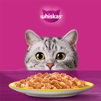Cibo Gatti 120 Bustine Pollo Anatra Tacchino Pollame Whiskas