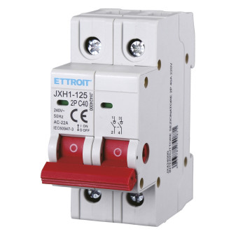 ETTROIT Interruttore Sezionatore 2P 40A 220V - Mod. JX424000