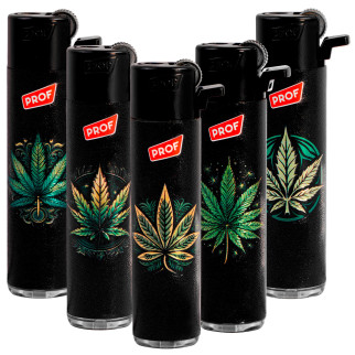 Prof Maxi Accendino a Pietrina 3D Cana Leaf Serie 5 Accendini