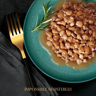 Sheba Délices Du Jour in Salsa Pollo Salmone Agnello per Gatti 6x