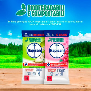 Napisan Salviette Igienizzanti Biodegradabili Giardino Fruttato