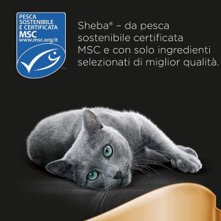 Cibo per Gatti con Tonno in Salsa Sheba - 22 Vaschette