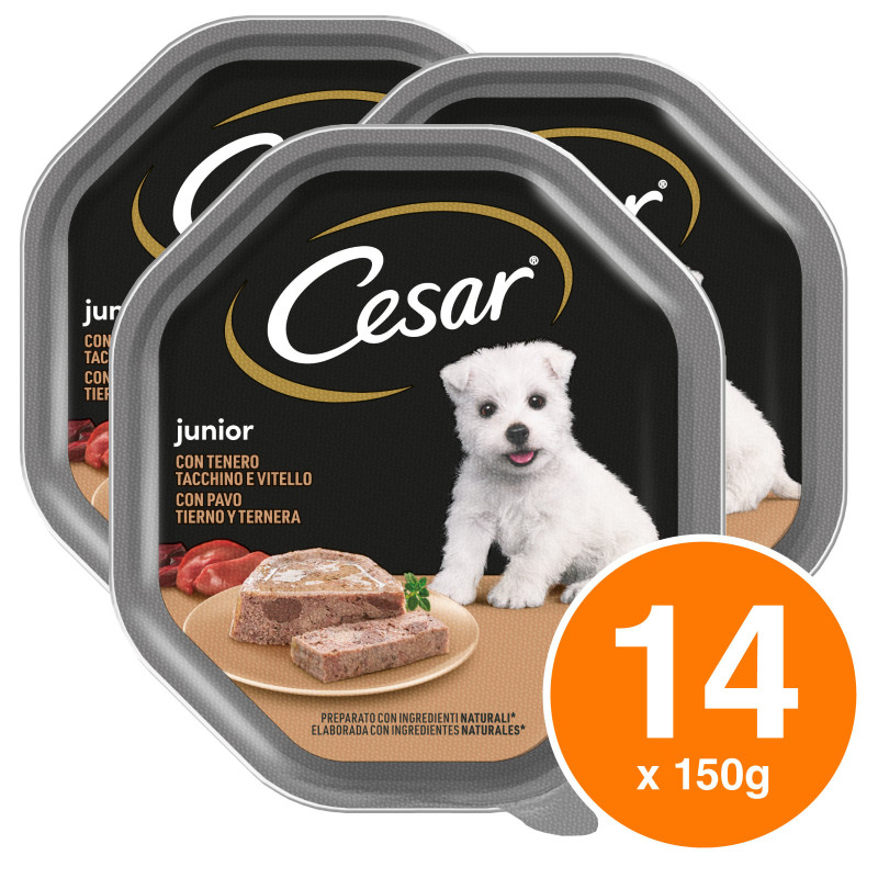 Cibo per Cani Junior con Vitello e Tacchino - 14 Vaschette Cesar