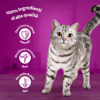 Whiskas Cibo per Gatti Senior Pranzetti Salsa Carni Bianche