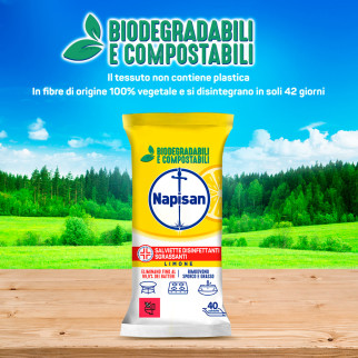 Napisan Salviette Disinfettanti Sgrassanti Biodegradabili Limone