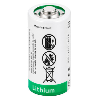 Acquista Saft Batteria Al Litio LS 26500 Plus Mezzatorcia C -