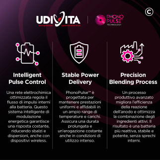 Udivita Batterie Protesi Acustiche Misura 10 Blister da 6