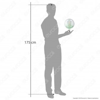 Daylight Lampadina E27 Filamento LED a Spirale 5W Globo G200 con