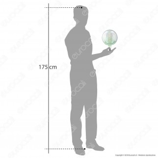 Daylight Lampadina E27 Filamento LED a Spirale 5W Globo G200 con