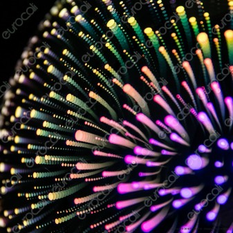 V-Tac VT-7256 Lampadario a Sospensione in Vetro Effetto 3D con Portalampada per Lampadine E27 - SKU 40131