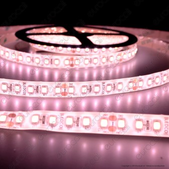 LEDCO Striscia LED 2835 Monocolore 120 LED/metro 24V IP65 per