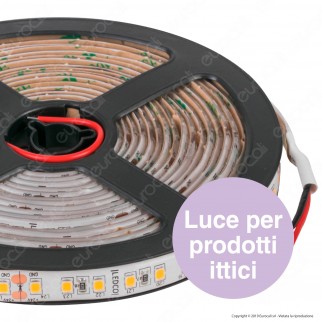 LEDCO Striscia LED 2835 Monocolore 120 LED/metro 24V IP65 per