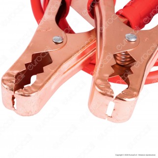 CFG Luce Quadra 2 Cavi Professionali con Morsetti per Batteria Auto