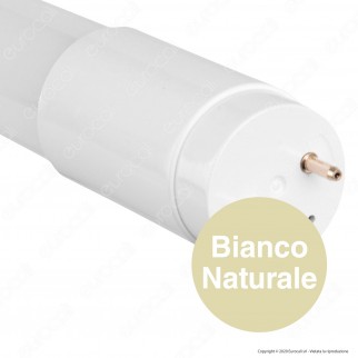 Bot Lighting Shot Tubo LED SMD T8 G13 24W Lampadina 150cm in Vetro -