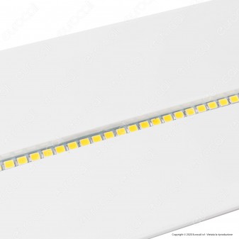 Velamp Holly Lampada LED d'Emergenza Anti Black Out IP65 IK08