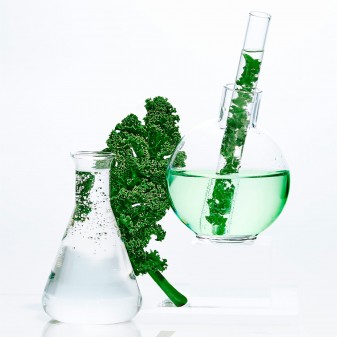 Garnier SkinActive Niacinamide Maschera in Tessuto Ampolla Detox