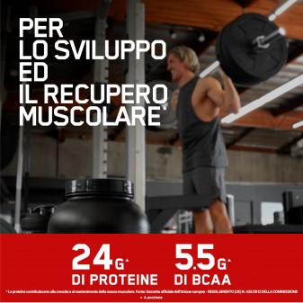 Optimum Nutrition Proteine Serious Mass 2.73Kg Cioccolato e Gold