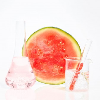 Garnier SkinActive Acido Ialuronico Maschera in Tessuto Ampolla