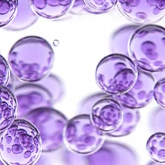 L'Oréal Paris Revitalift Acqua Micellare Rimpolpante Struccante